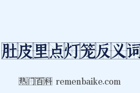 肚皮里点灯笼反义词是什么意思的图片